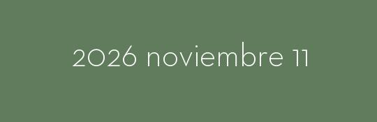 2026/11/11