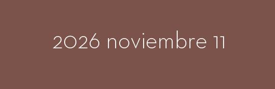 2026/11/11