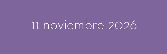11/11/2026