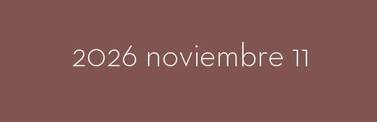 2026/11/11
