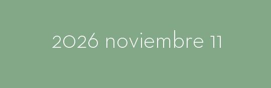 2026/11/11