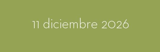 11/12/2026