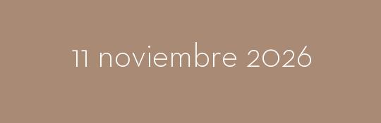 11/11/2026