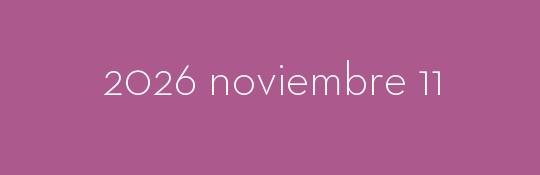 2026/11/11