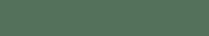 Pollo al chilindrón